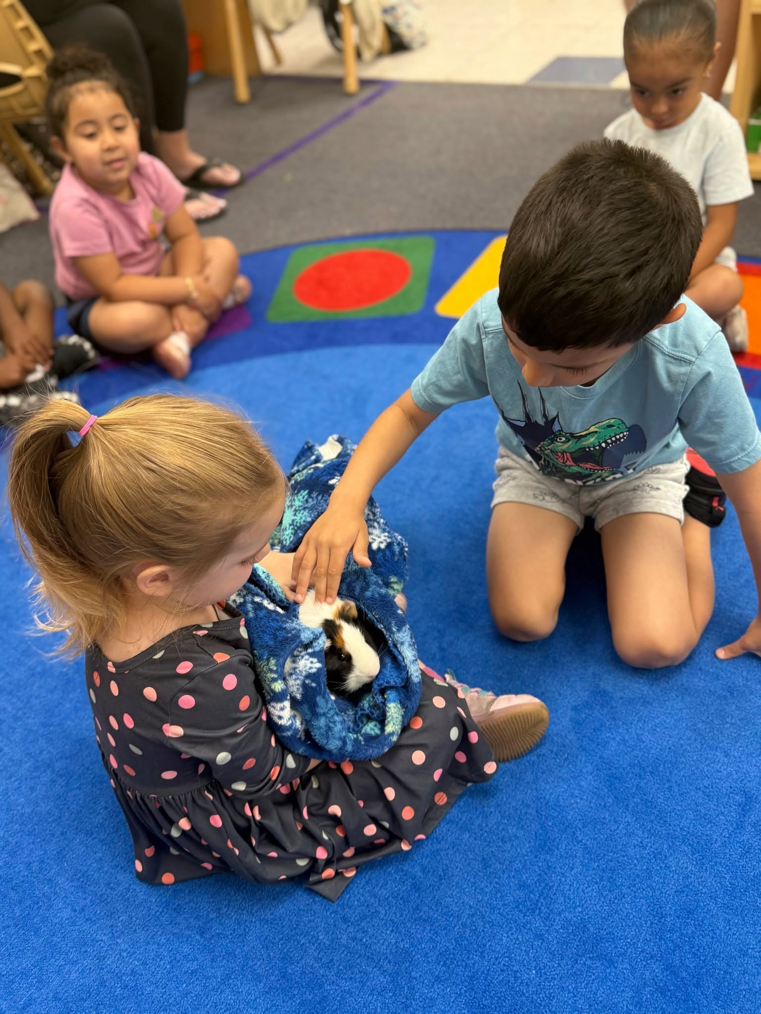 Two children gently petting the classroom guinea pig during circle time